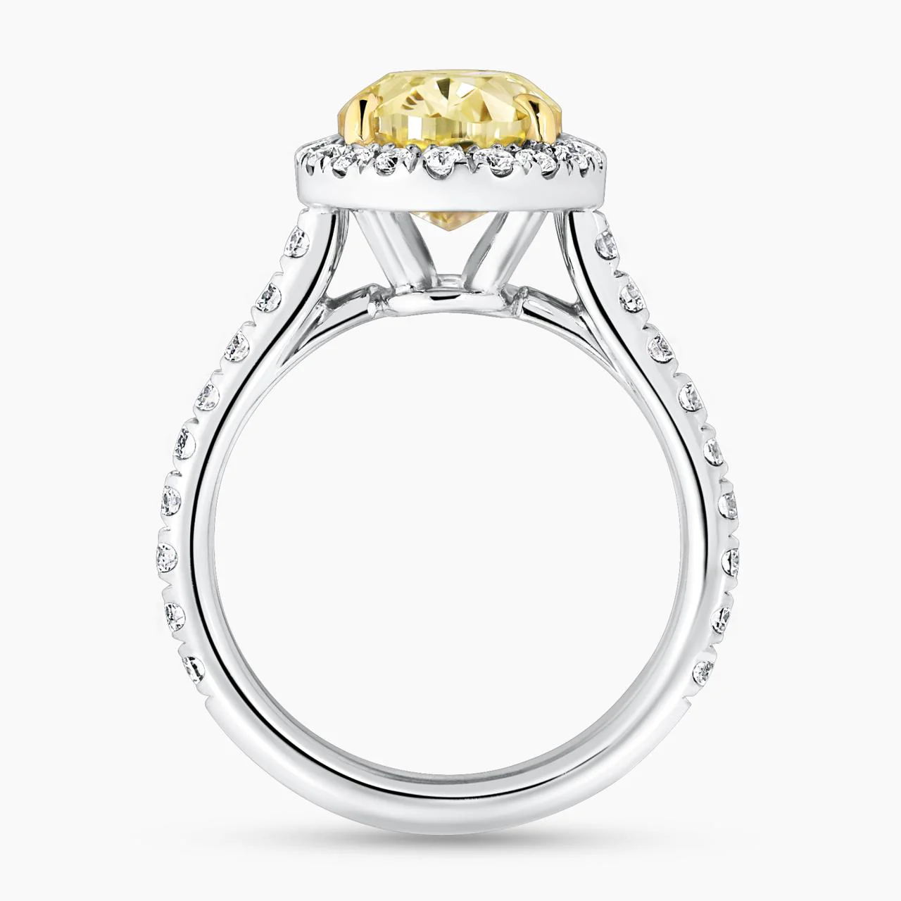 GRAZIA 18ct white and yellow gold 3.50ct fancy yellow oval cut and white diamond halo engagement ring - Image 3